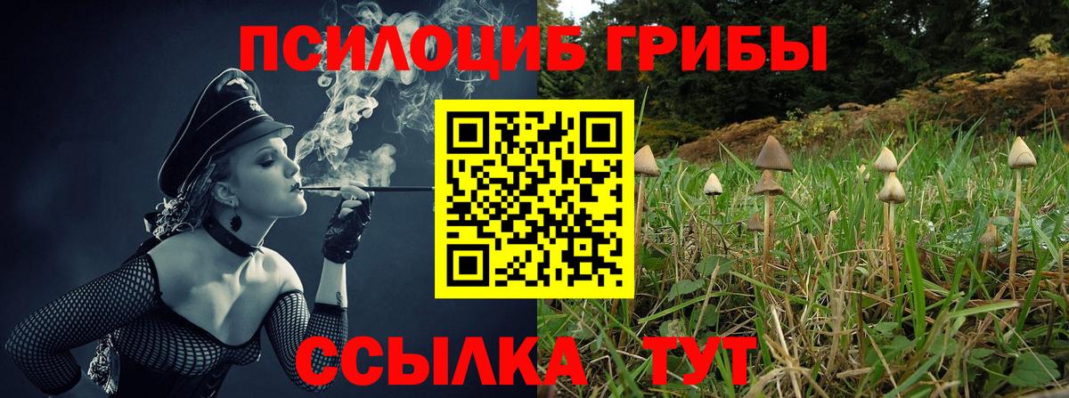 Галлюциногенные грибы MAGIC MUSHROOMS Абакан