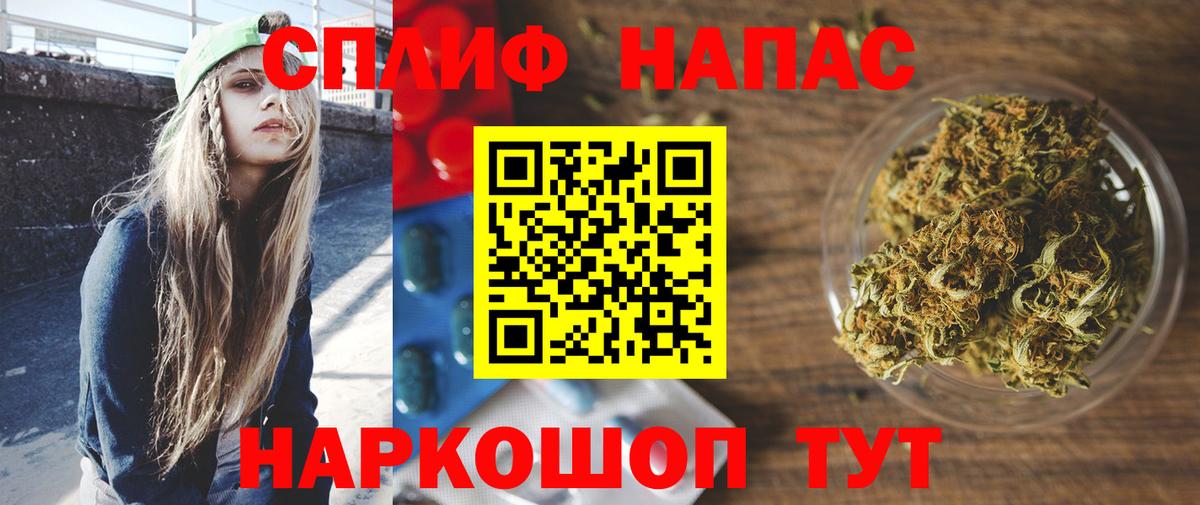 Каннабис сатива Абакан
